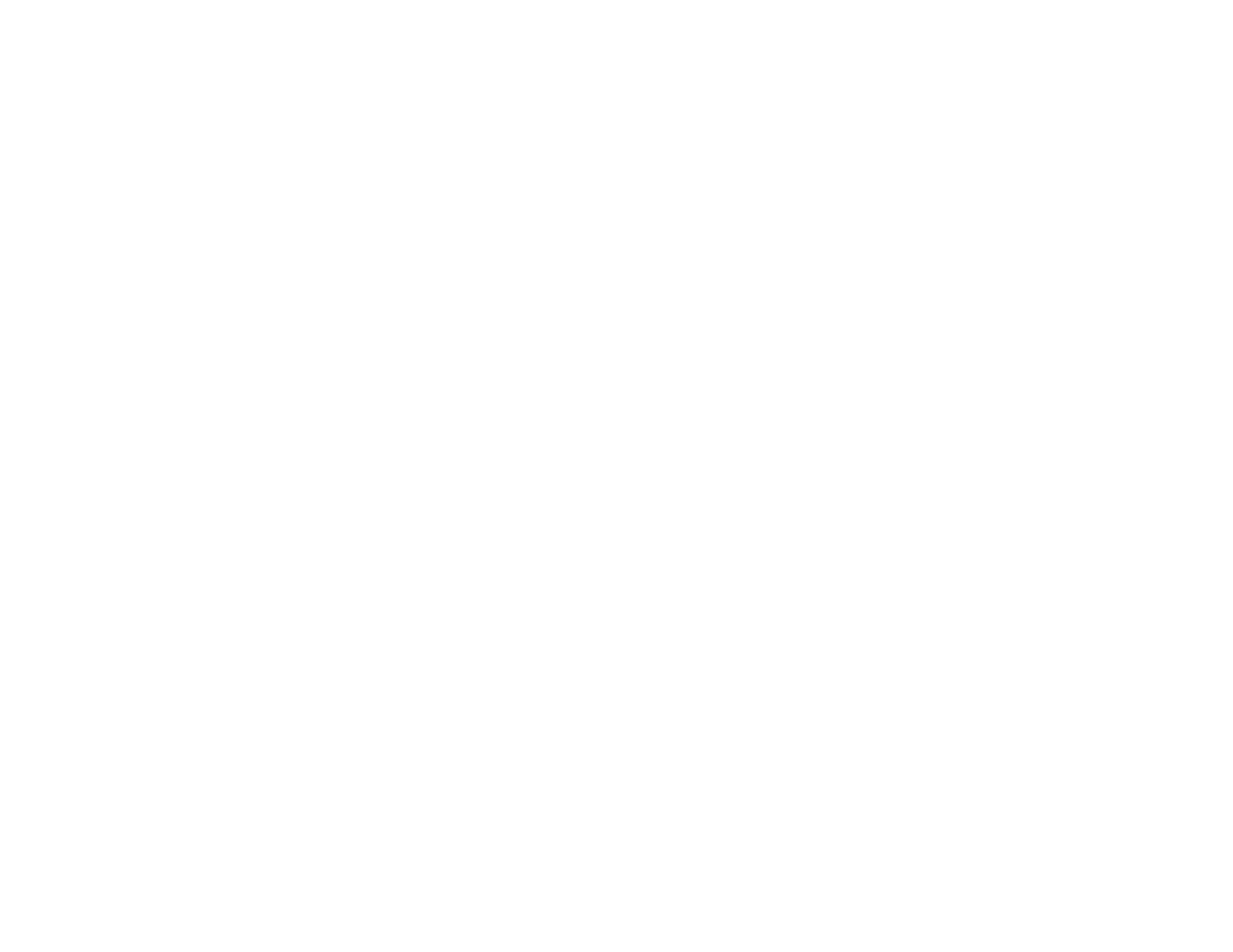Berhanu Mulugeta Logo